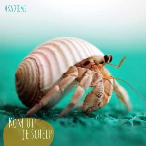 schelp - aKadeemi