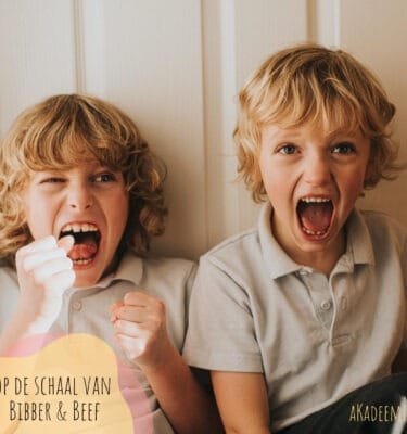 Op schaal van Bibber en Beef MH (13/07 - 17/07)