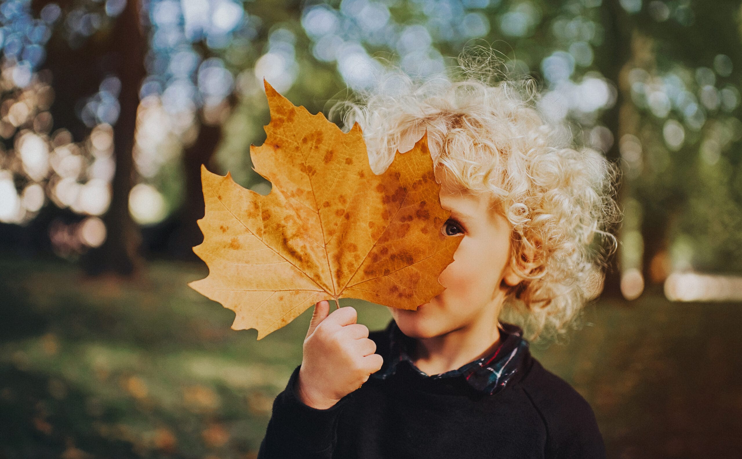 Herfstvakantie kampen 2026 Mechelen Kind houdt groot herfstblad voor gezicht in park scaled - aKadeemi